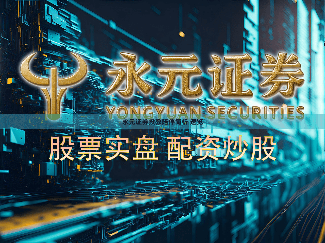 永元证券投教陪伴简析 速览