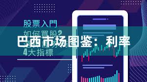 巴西市场图鉴:利率