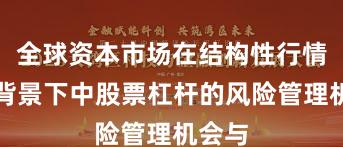 全球资本市场在结构性行情阶段背景下中股票杠杆的风险管理机会与